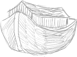 arkdraft.gif (8291 bytes)