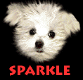 Bark! Bark!